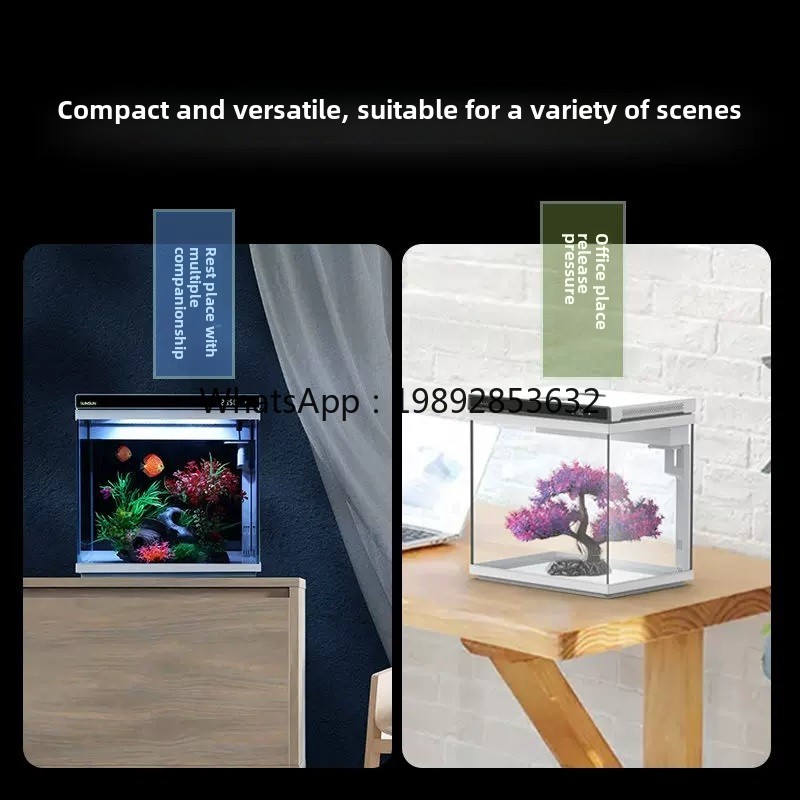 YGG  ultra-white glass small f - đánh giá và giá Aquarium Fish Without Oxygen