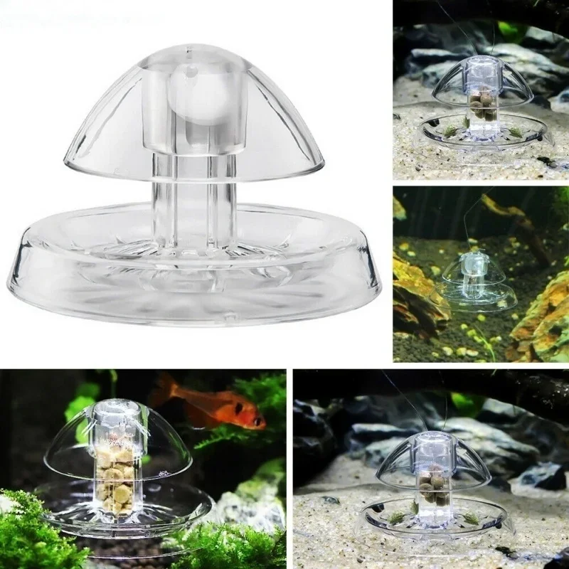 Aquarium Pest Snail Trap Trans - đánh giá và giá Cleaner Fish Aquarium