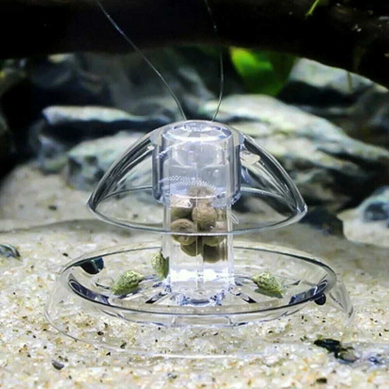 Aquarium Pest Snail Trap Trans - đánh giá và giá Cleaner Fish Aquarium