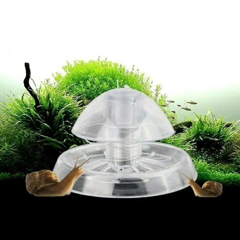 Aquarium Pest Snail Trap Trans - đánh giá và giá Cleaner Fish Aquarium