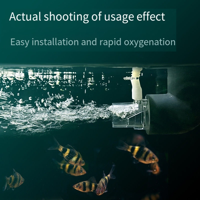 Oxygen Diffuser Pipe Filter At - đánh giá và giá Aquarium Fish Without Oxygen
