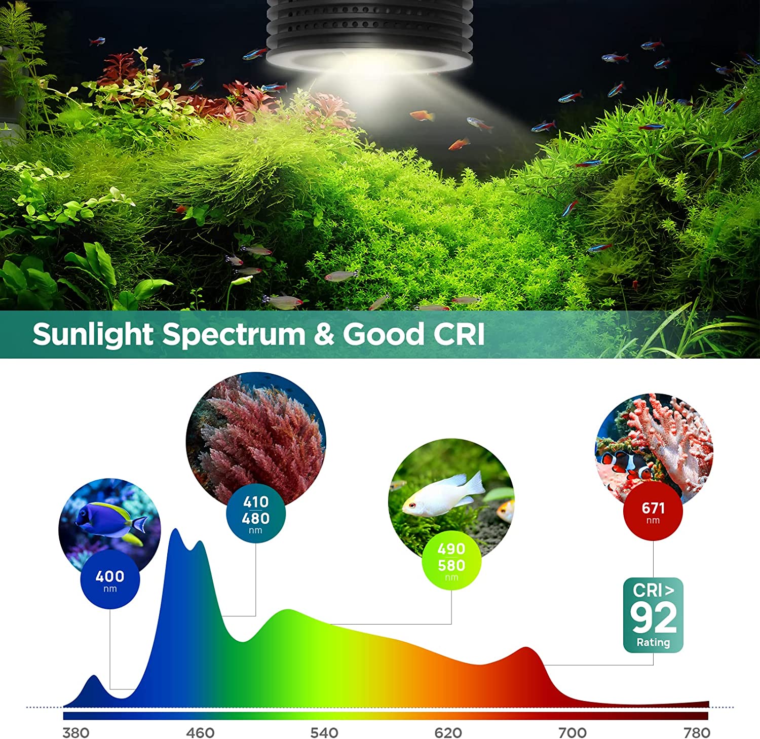 Lominie Asta 20 Freshwater 18W - đánh giá và giá Refugium Light Nano